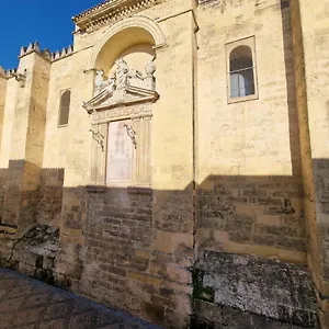 Ds En Plena Mezquita, Con Vistas Córdoba